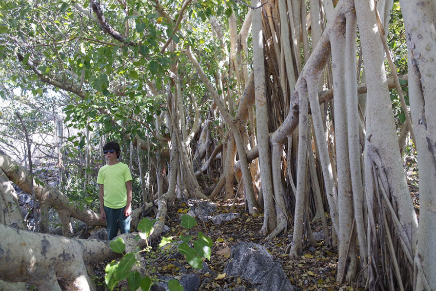 Viaggio solidale madagascar madabimbi 02