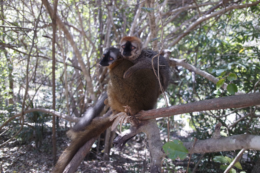 Viaggio solidale madagascar madabimbi 13