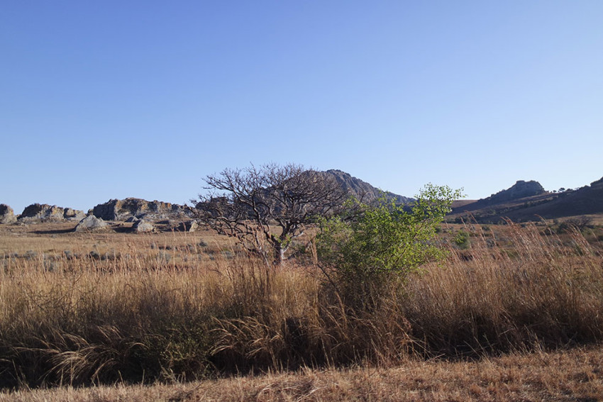 Viaggio solidale madagascar madabimbi 15