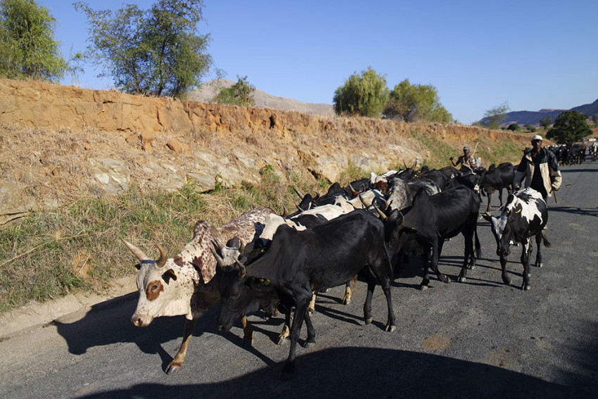 Viaggio solidale madagascar madabimbi 16