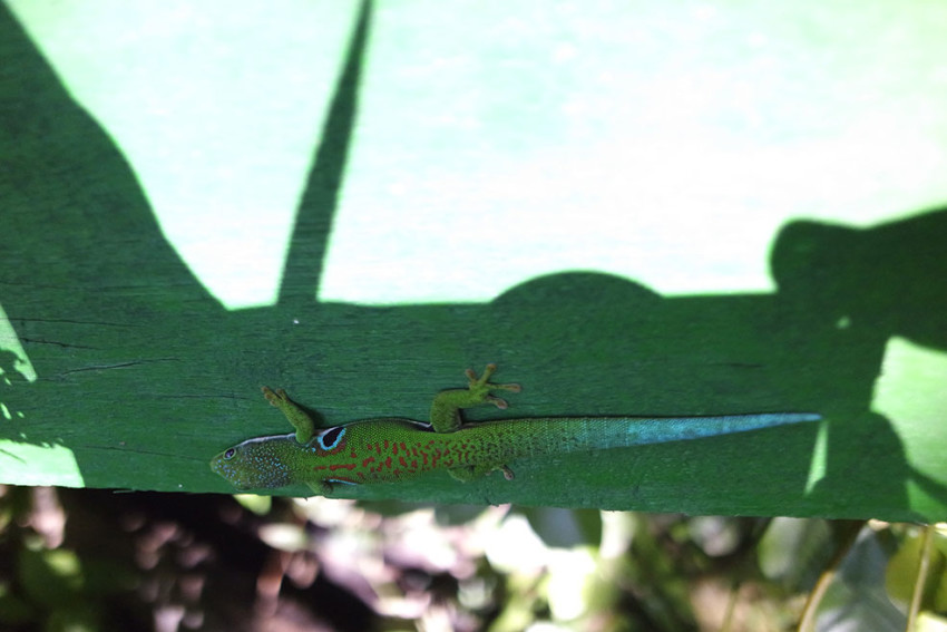 Viaggio solidale madagascar madabimbi 18