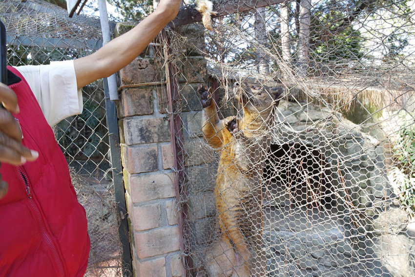 Viaggio solidale madagascar madabimbi 30